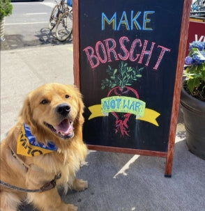 Golden Retriever sitting by my borscht not war artwork on a sandwich board.