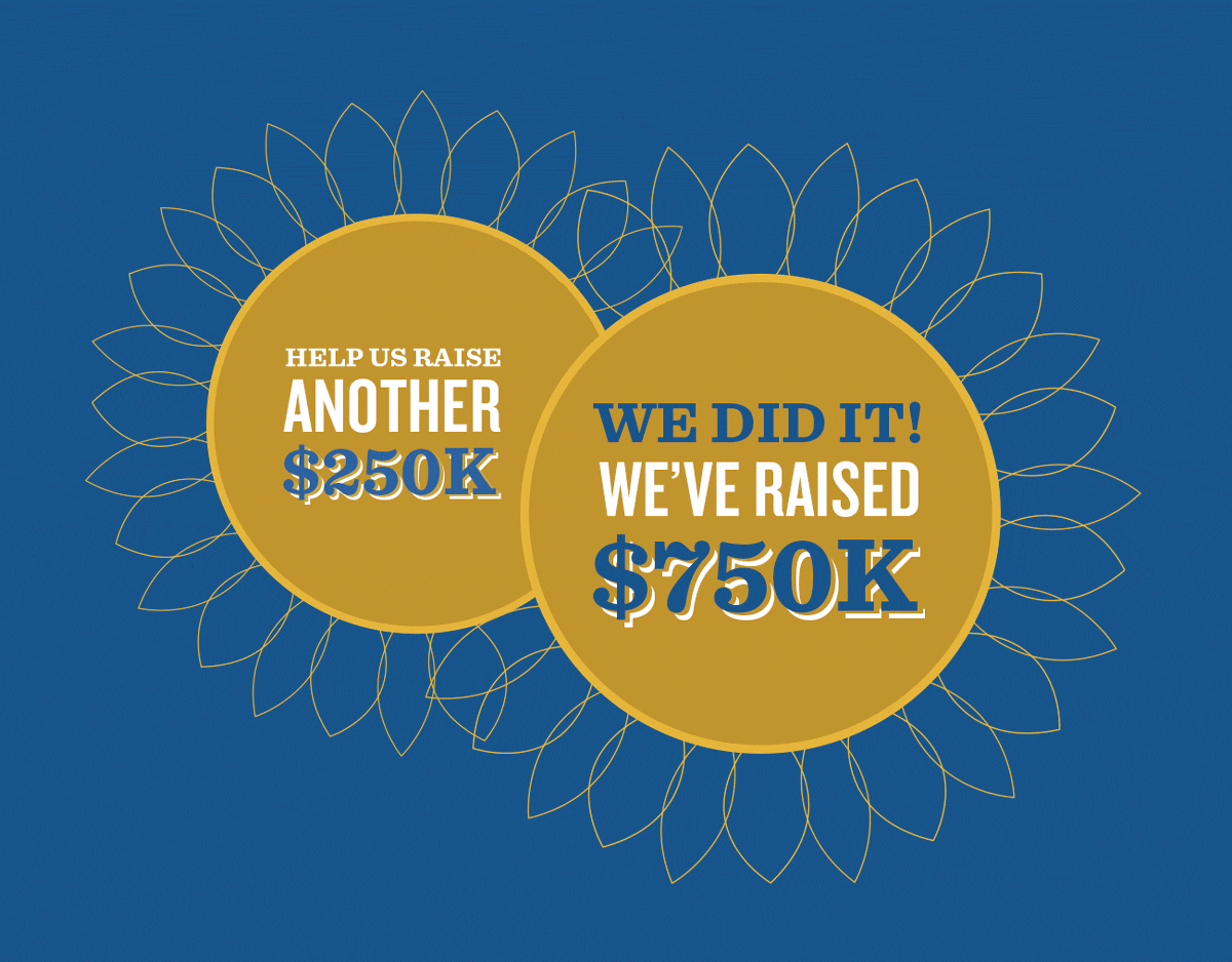 750k fundraising for Urkraine graphic